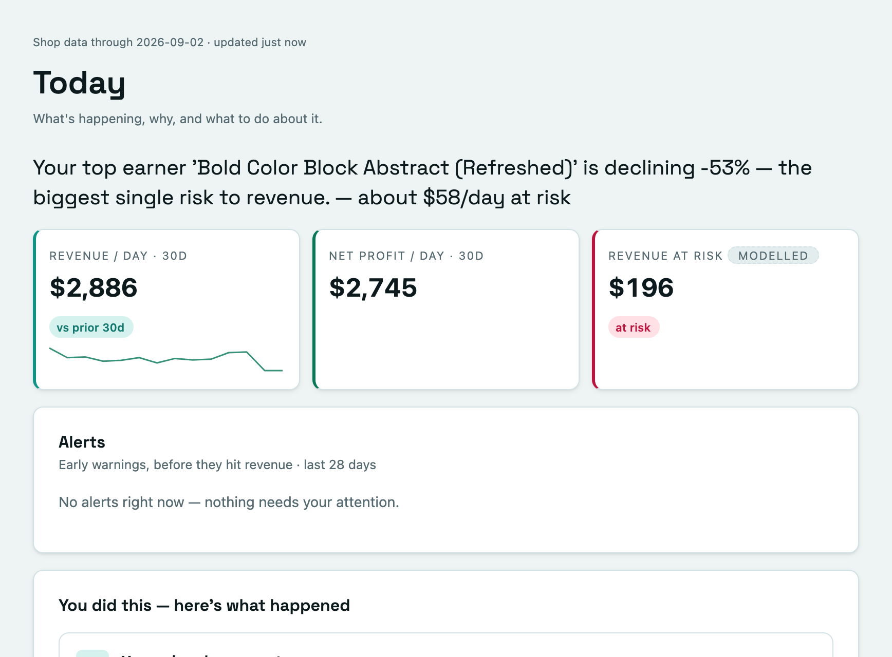 The Today screen: a headline finding that the shop's top earner is declining 53% with about $58 a day at risk, revenue and net profit per day, revenue at risk, and the start of the You did this card.