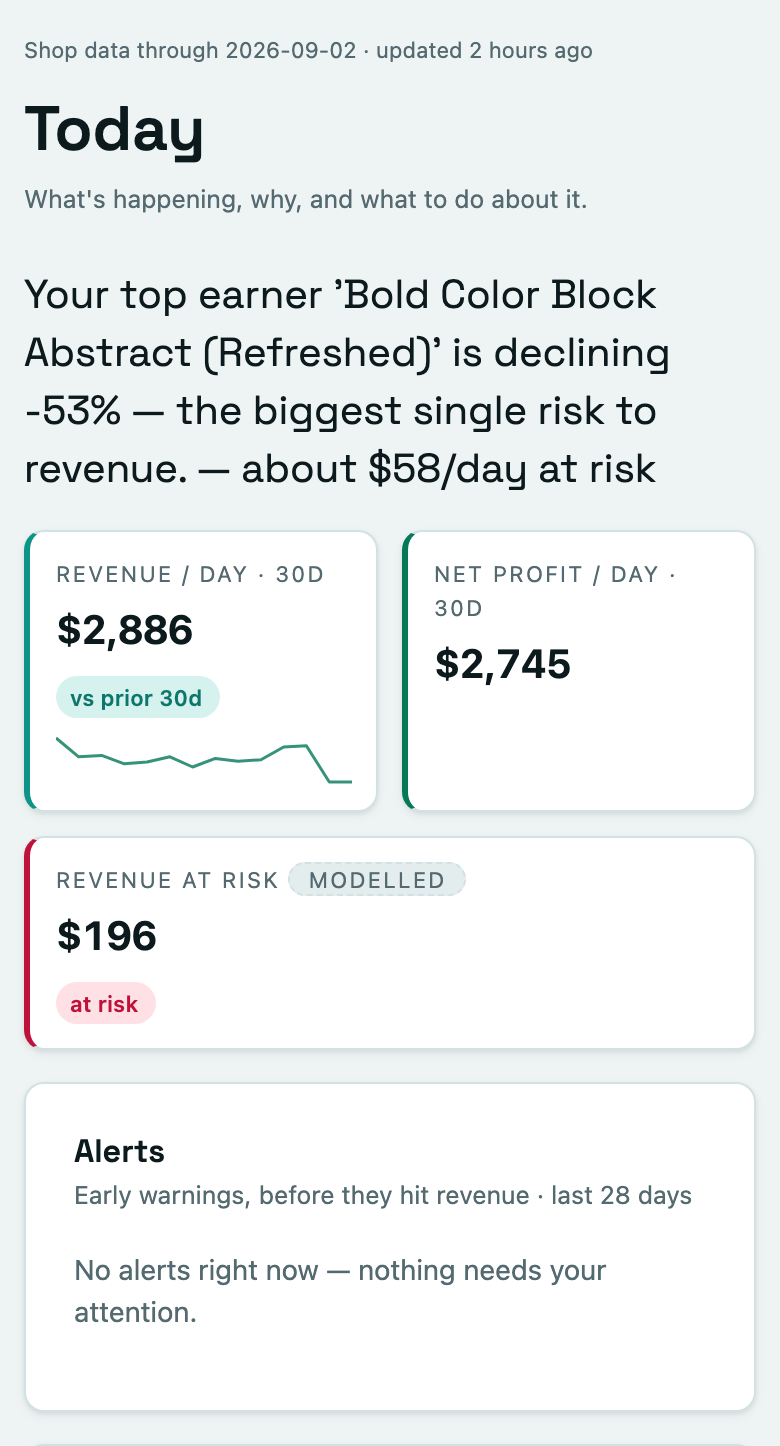 The Today screen on a phone: the headline finding, revenue and profit per day, and revenue at risk.